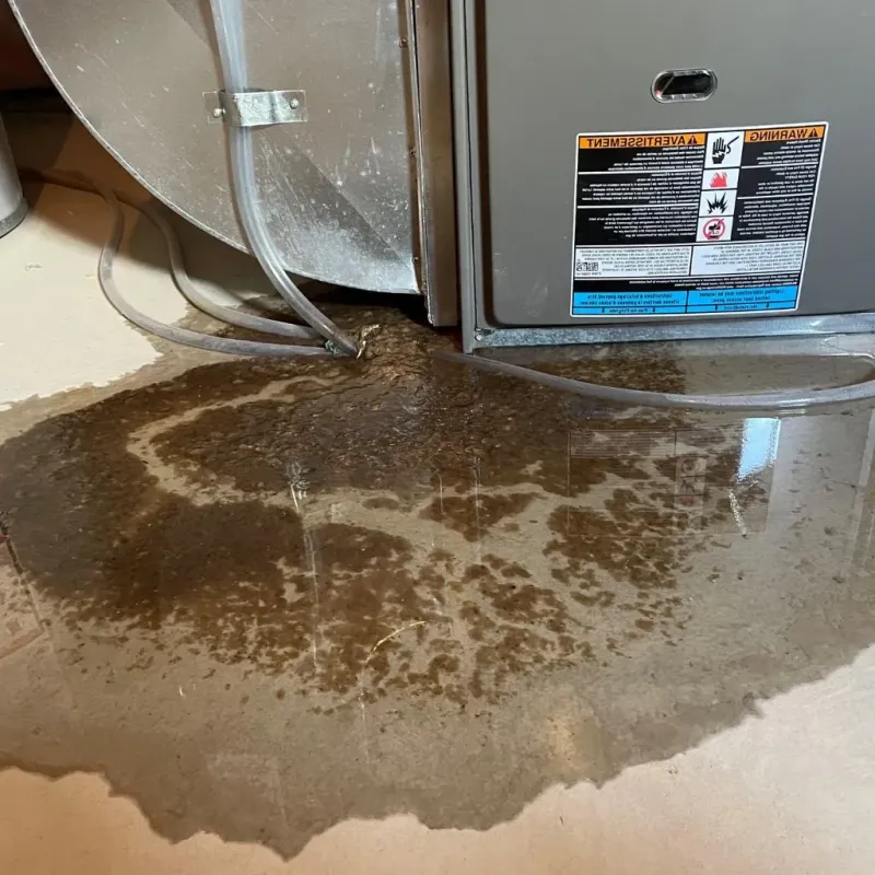 Pipe Burst and Leak Restoration in El Rio, CA